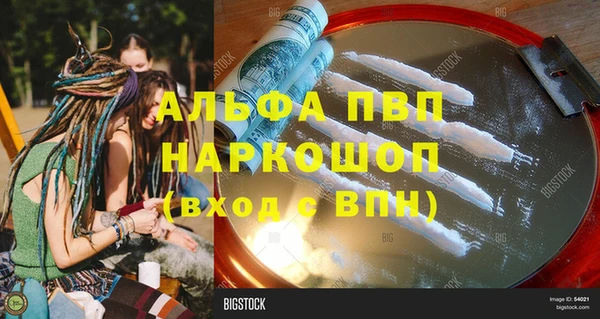 шишки Беломорск