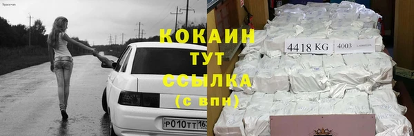 дживик Богородск