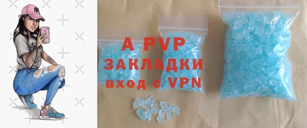 шишки Беломорск