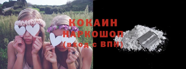 шишки Беломорск