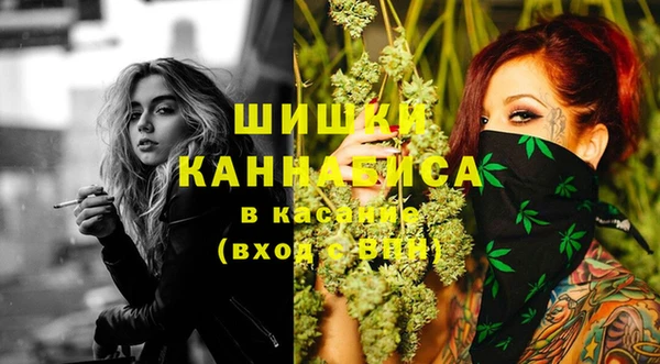 шишки Беломорск