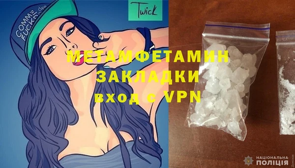 шишки Беломорск