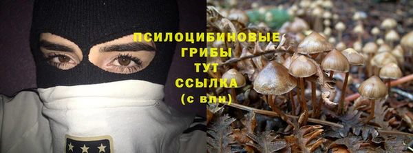 скорость Богданович