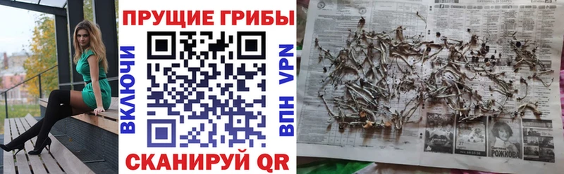 Галлюциногенные грибы Magic Shrooms где продают Белинский